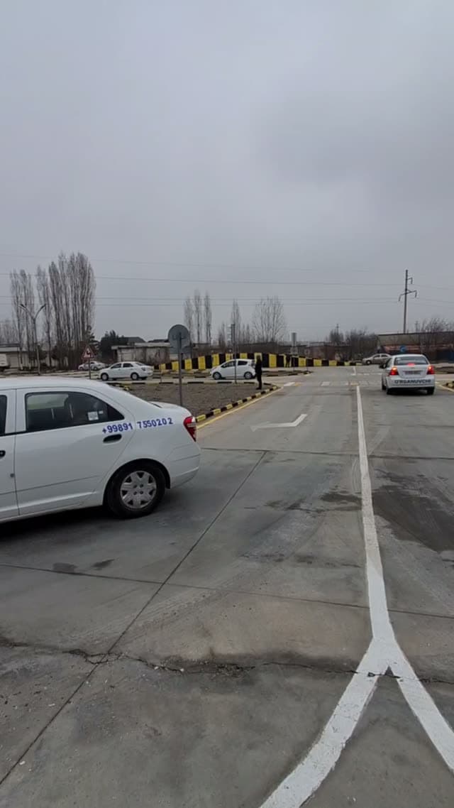 Avtodrom videosi